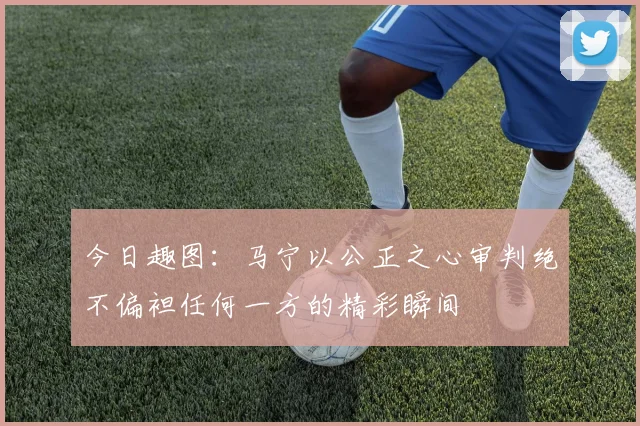 今日趣图：马宁以公正之心审判绝不偏袒任何一方的精彩瞬间